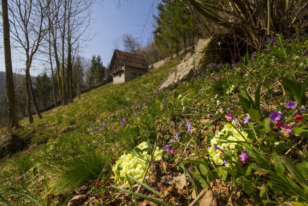 Casa Delle Noci Villa Grimacco Oda fotoğraf