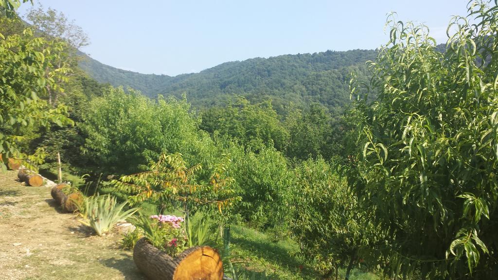 Casa Delle Noci Villa Grimacco Oda fotoğraf