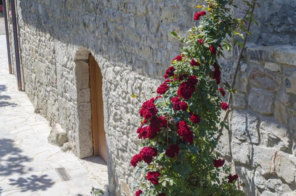 Casa Delle Noci Villa Grimacco Dış mekan fotoğraf